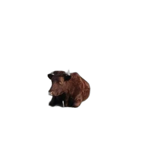 animal, creature, face, staff transparent PNG cut-out