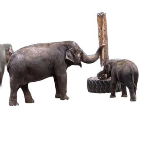 animal, weapon, staff, concept art transparent PNG cut-out