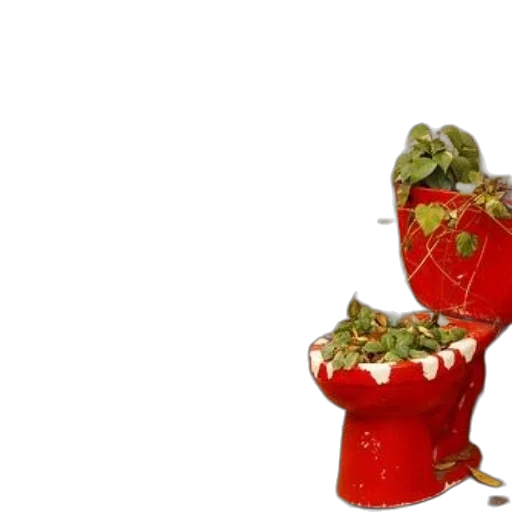 shoes, food, crown, jewelry transparent PNG cut-out