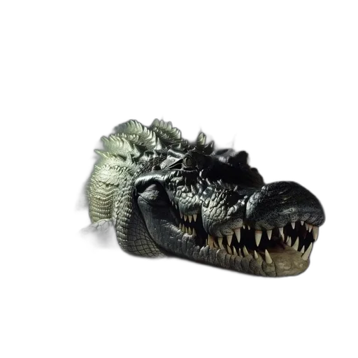 shoes, dragon, creature, animal transparent PNG cut-out
