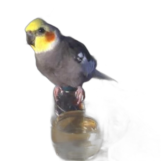 staff, animal, jewelry, food transparent PNG cut-out
