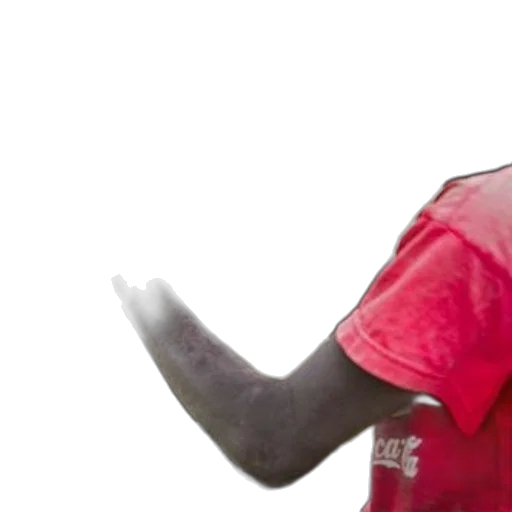 weapon, animal, face, staff transparent PNG cut-out