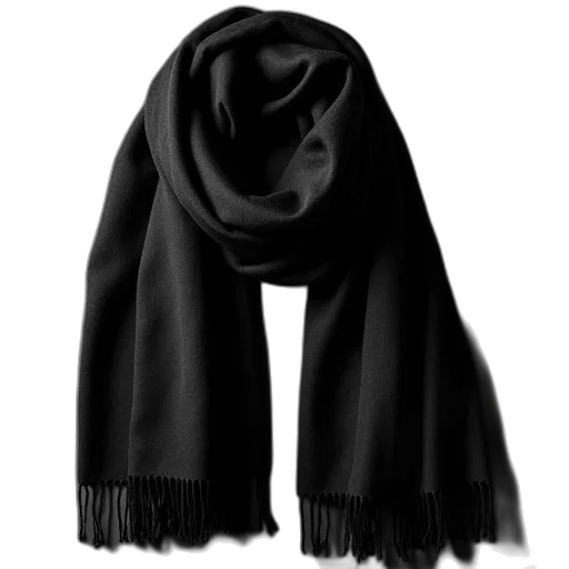 hat, jacket, dark, monochrome transparent PNG cut-out
