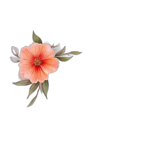 flower, crown, jewelry, weapon transparent PNG cut-out