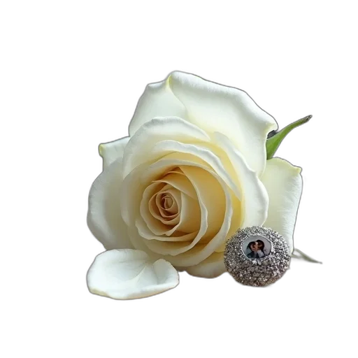 jewelry, flower, crown, staff transparent PNG cut-out