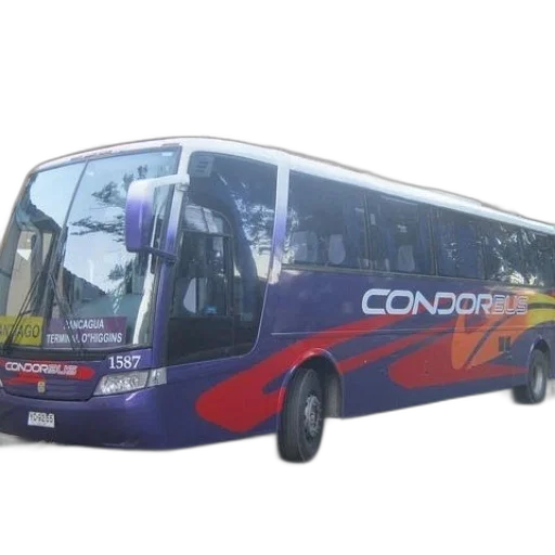 purple, condor, bus, parked transparent PNG cut-out