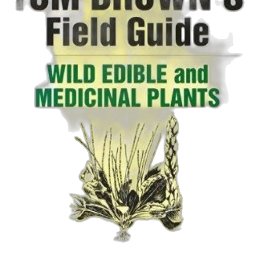 tom, brown, field, guide transparent PNG cut-out