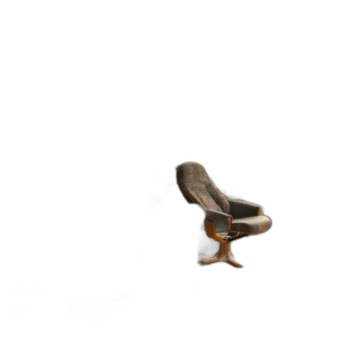 shoes, furniture, animal, hat transparent PNG cut-out