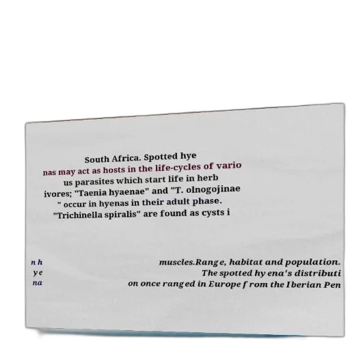 text-heavy, image, discussing, spotted transparent PNG cut-out