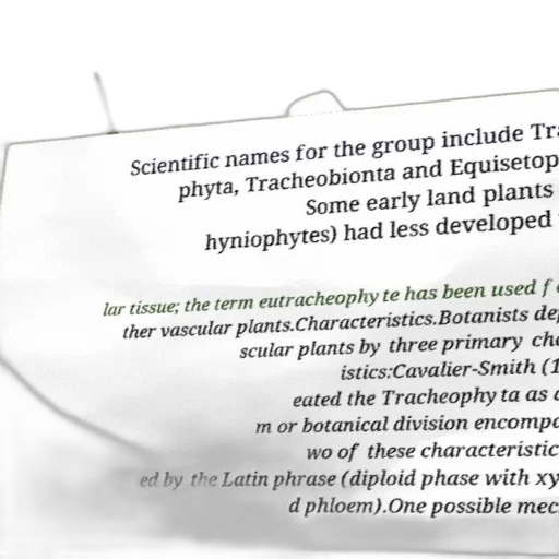 scientific, illustration, explaining, classification transparent PNG cut-out