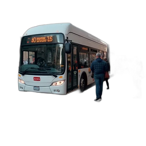 car, staff, face, animal transparent PNG cut-out
