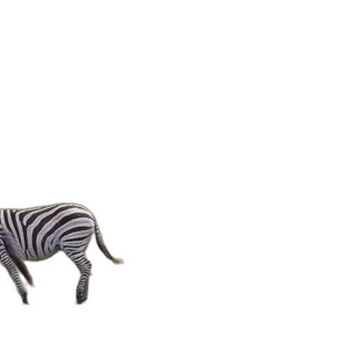 animal, creature, furniture, shoes transparent PNG cut-out