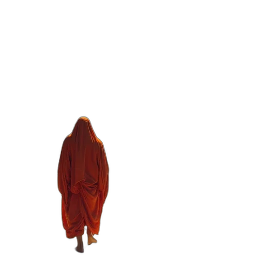 dress, jacket, creature, animal transparent PNG cut-out