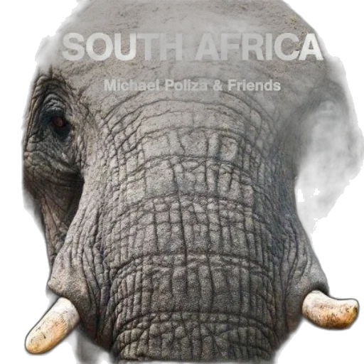 animal, photorealistic, concept art, image transparent PNG cut-out