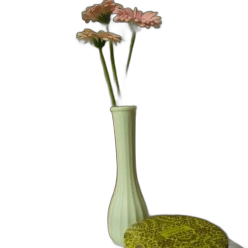flower, bottle, staff, furniture transparent PNG cut-out