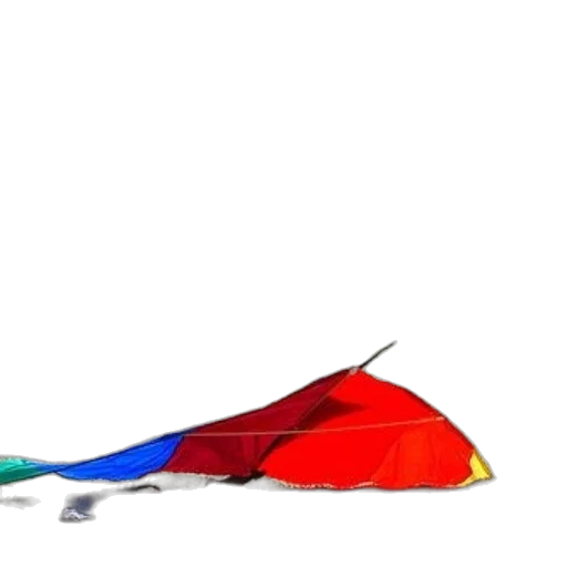 umbrella, shoes, hat, weapon transparent PNG cut-out