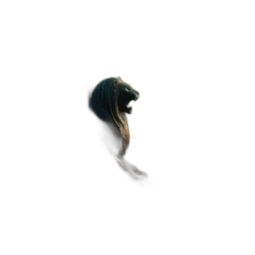 hair, hat, creature, animal transparent PNG cut-out