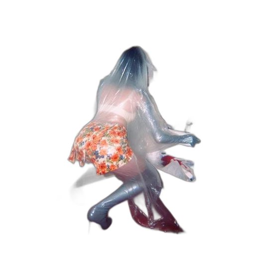 dress, jacket, flower, creature transparent PNG cut-out