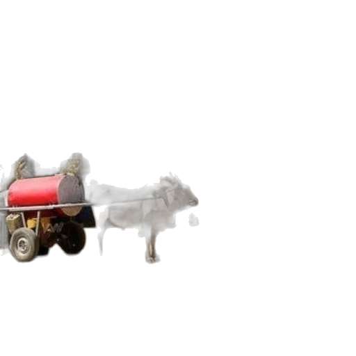 car, animal, robot, furniture transparent PNG cut-out
