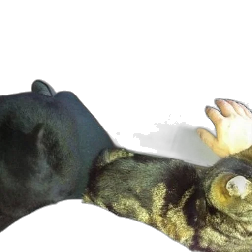 animal, creature, mask, staff transparent PNG cut-out