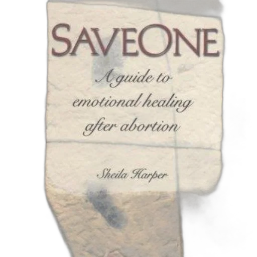 weapon, saveone, guide, emotional transparent PNG cut-out