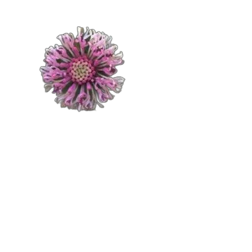 flower, jewelry, crown, staff transparent PNG cut-out