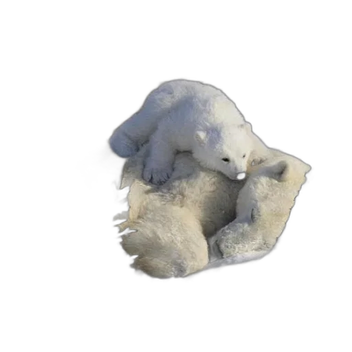 creature, mask, animal, hat transparent PNG cut-out