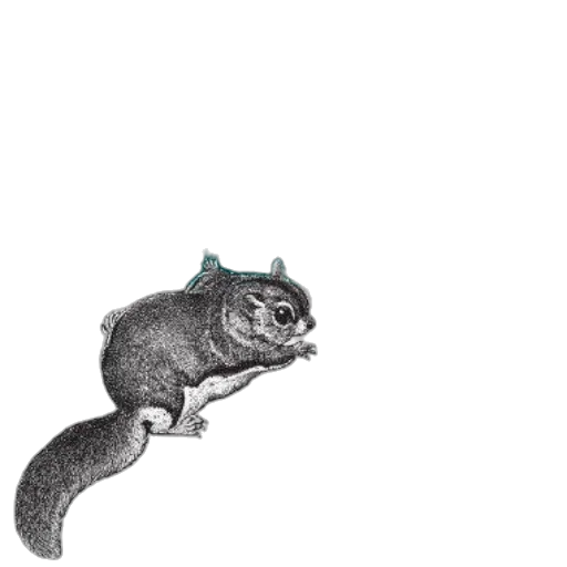 animal, dragon, creature, hat transparent PNG cut-out