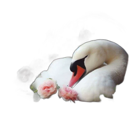 animal, flower, mask, creature transparent PNG cut-out