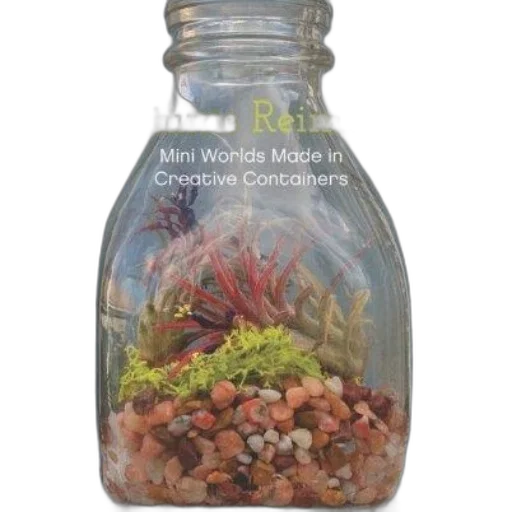 bottle, terrariums, reimagined, mini transparent PNG cut-out