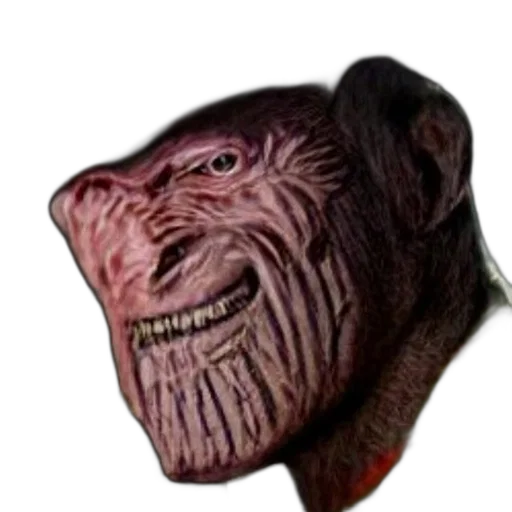 creature, animal, face, mask transparent PNG cut-out