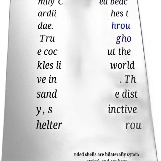 bottle, text-heavy, image, white transparent PNG cut-out