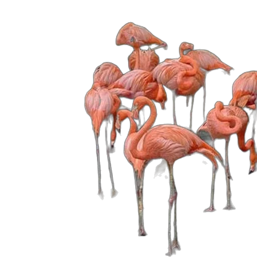animal, umbrella, creature, furniture transparent PNG cut-out