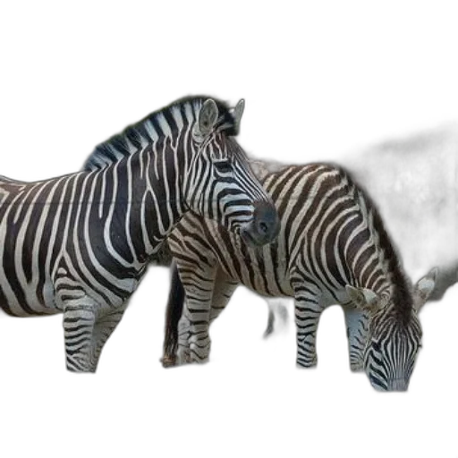 animal, creature, jewelry, weapon transparent PNG cut-out