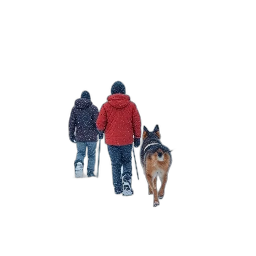 jacket, animal, umbrella, creature transparent PNG cut-out