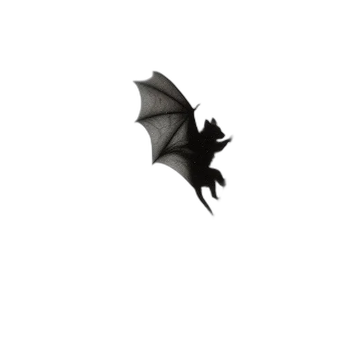 dragon, creature, animal, umbrella transparent PNG cut-out