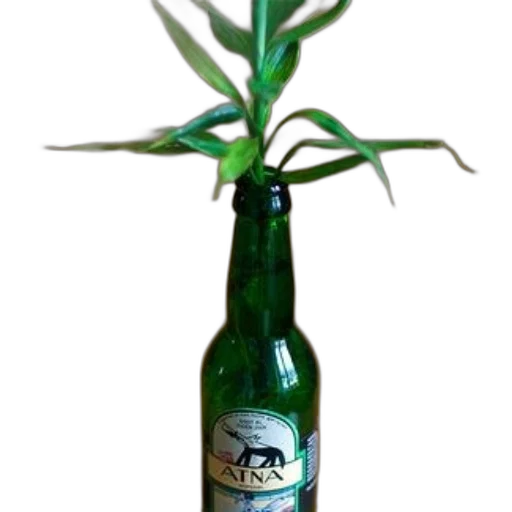bottle, 3d render, green, word transparent PNG cut-out