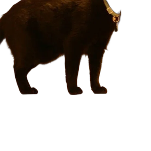 animal, creature, staff, weapon transparent PNG cut-out
