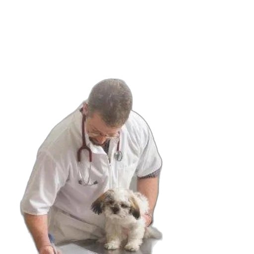 staff, animal, creature, photorealistic transparent PNG cut-out