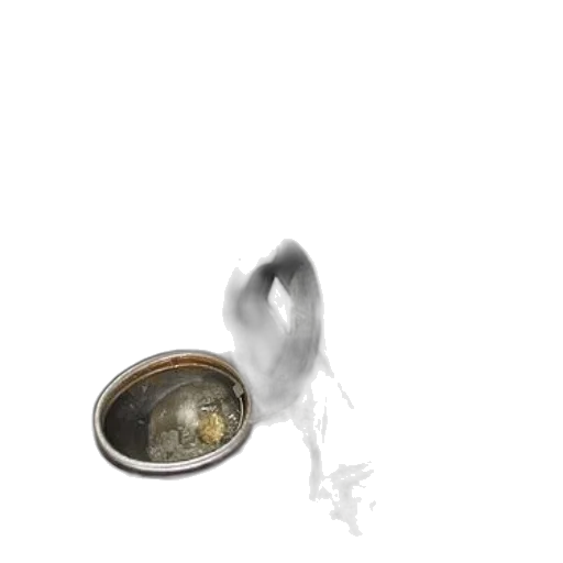 food, animal, hair, creature transparent PNG cut-out