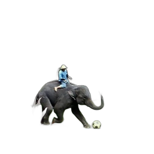 animal, creature, robot, staff transparent PNG cut-out