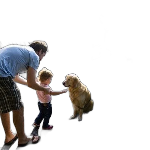 animal, creature, shoes, staff transparent PNG cut-out