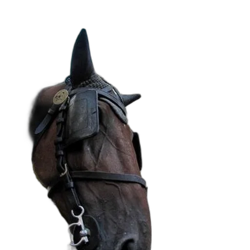 hat, staff, mask, crown transparent PNG cut-out