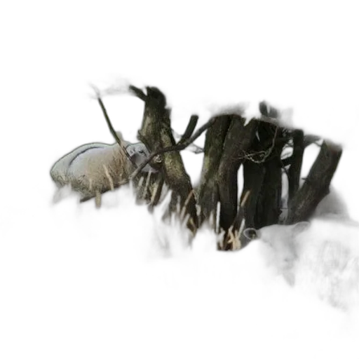 dragon, creature, animal, weapon transparent PNG cut-out