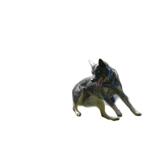 animal, creature, dragon, staff transparent PNG cut-out