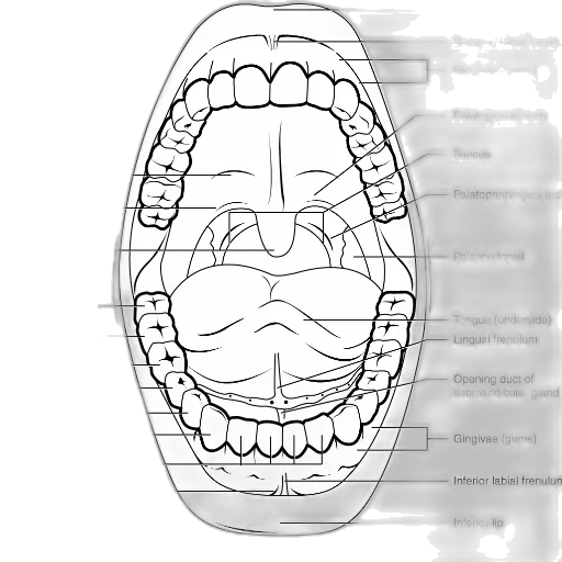 crown, mask, face, jewelry transparent PNG cut-out