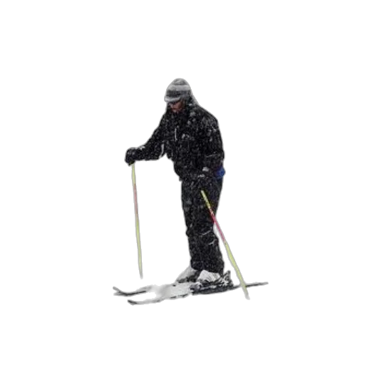 staff, robot, face, animal transparent PNG cut-out