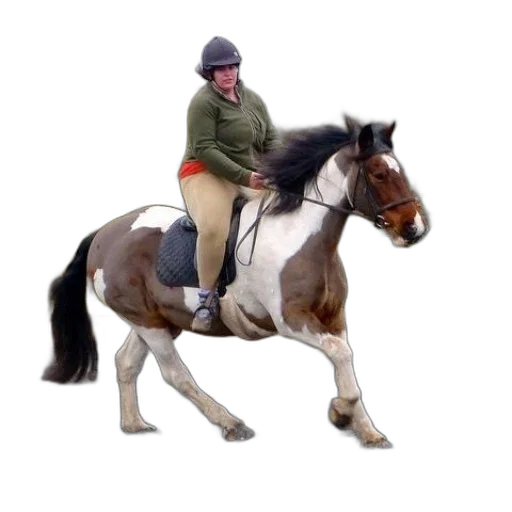 animal, jacket, staff, photorealistic transparent PNG cut-out