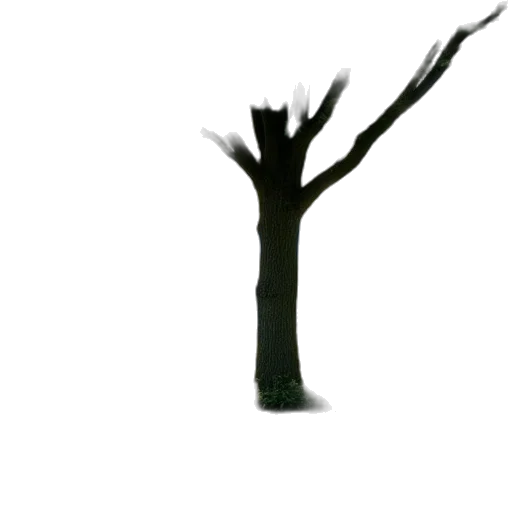 tree, staff, crown, hair transparent PNG cut-out