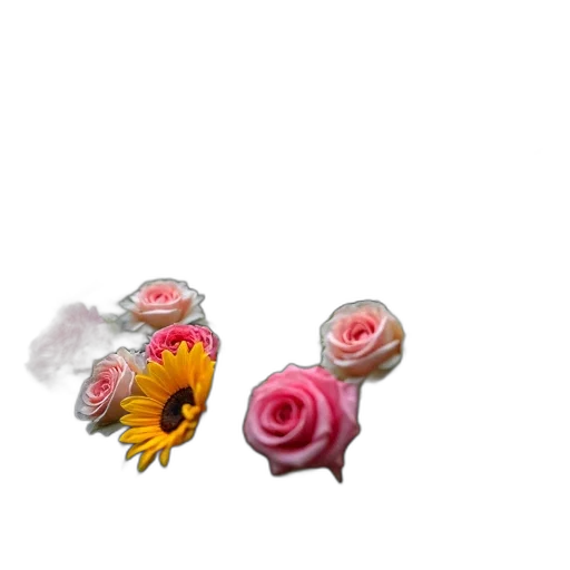 jewelry, flower, weapon, crown transparent PNG cut-out
